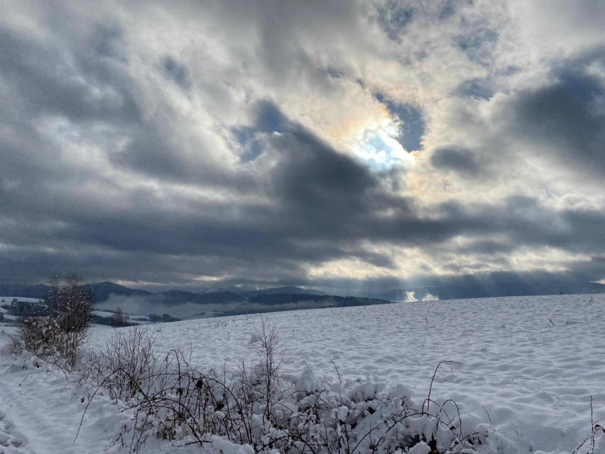 Lesny Dworek 1 Wolkowyja Bagian luar foto