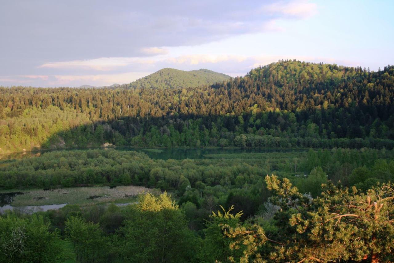 Lesny Dworek 1 Wolkowyja Bagian luar foto
